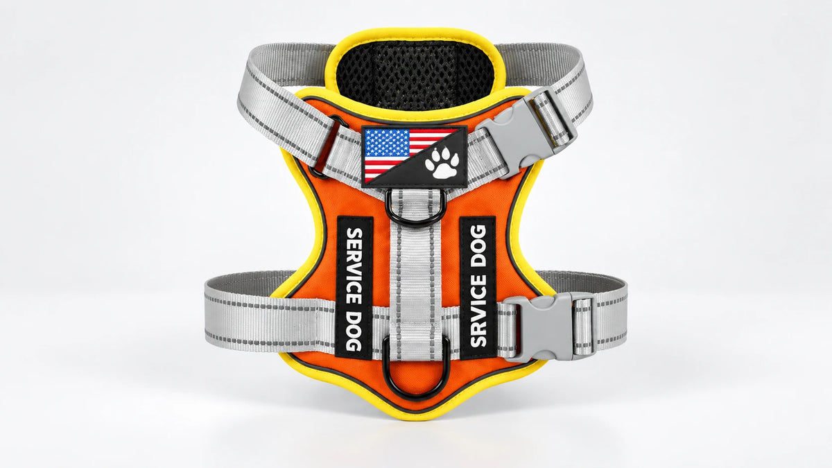 Orange tactical dog harness with yellow trim, adjustable reflective gray straps, metal D-rings and SERVICE DOG patches.