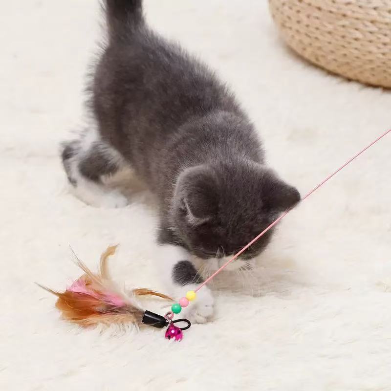 Cat playing with a feather-and-bell teaser attachment on a rug.