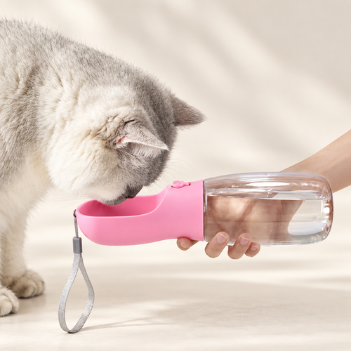 Light gray cat drinking from the pink portable pet water and food bottle held horizontally by one hand.