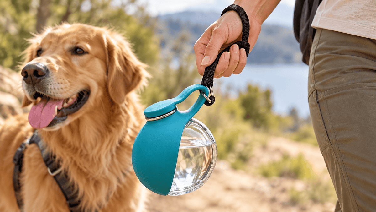 Portable dog water bottle carried by its wrist strap on a walk